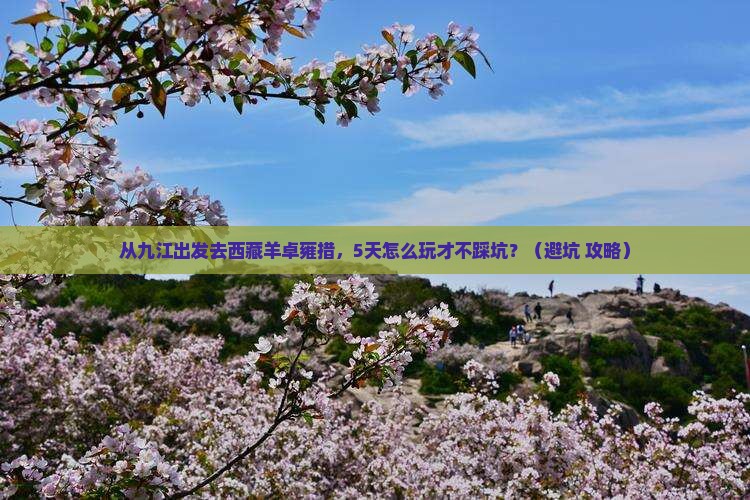 九江去西藏羊卓雍措自由行