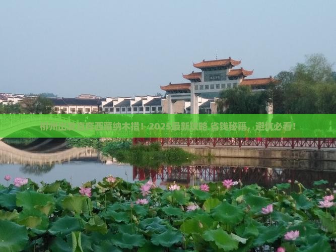 柳州到西藏纳木措旅行社