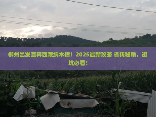 柳州到西藏纳木措旅行社