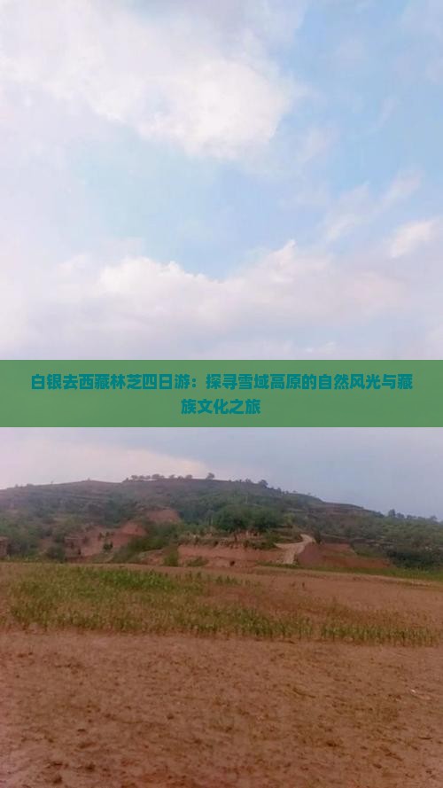 白银去西藏林芝四日游