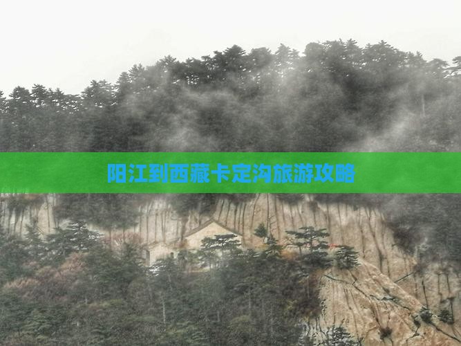 阳江到西藏卡定沟旅游
