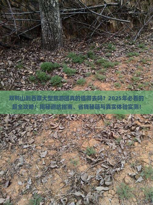 双鸭山到西藏大型旅游团