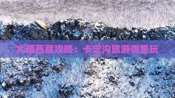 大理去西藏卡定沟哪里玩