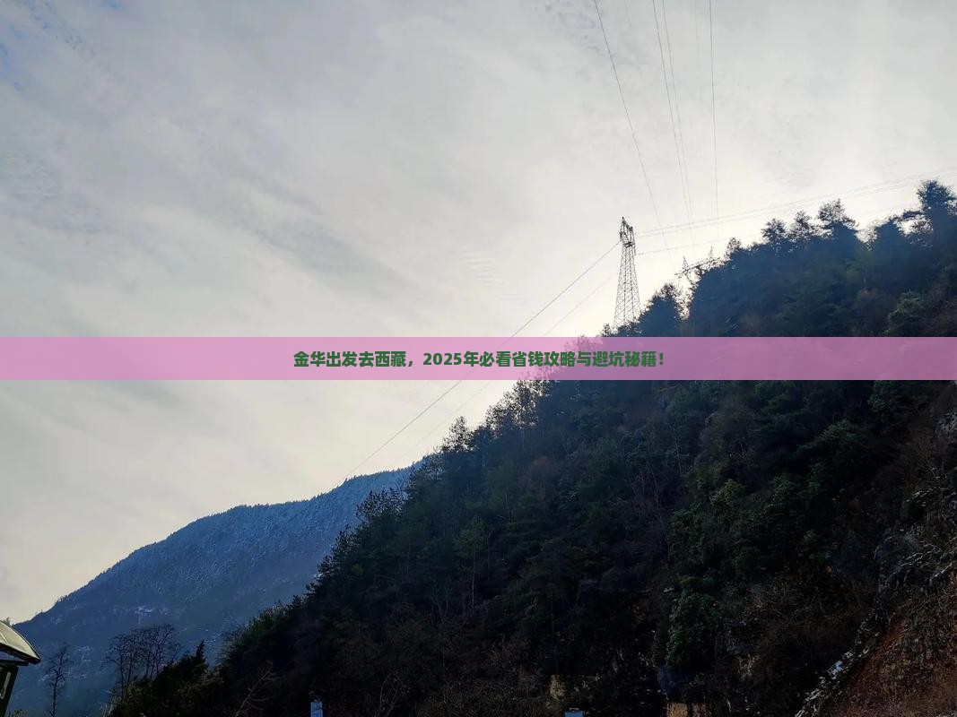 金华去西藏门票