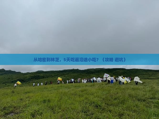 哈密到西藏林芝旅游小吃
