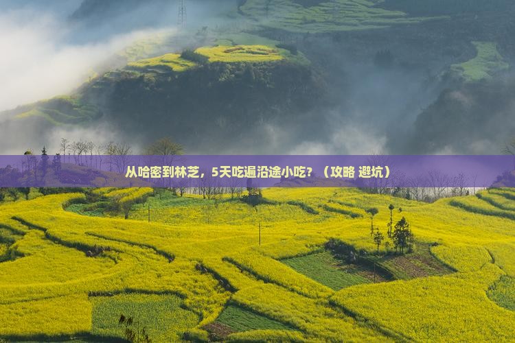 哈密到西藏林芝旅游小吃