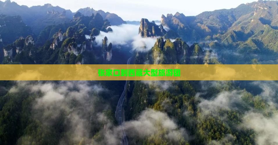 张家口到西藏大型旅游团