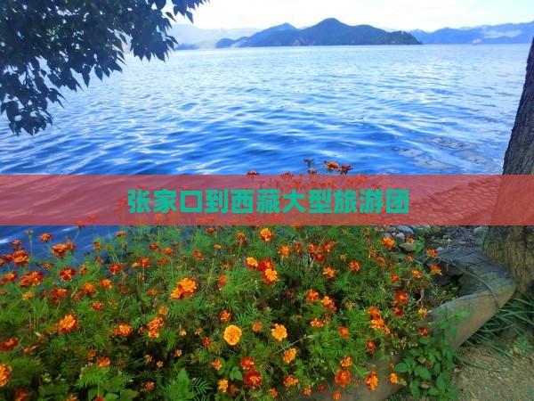 张家口到西藏大型旅游团