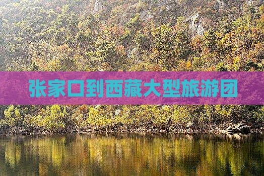 张家口到西藏大型旅游团