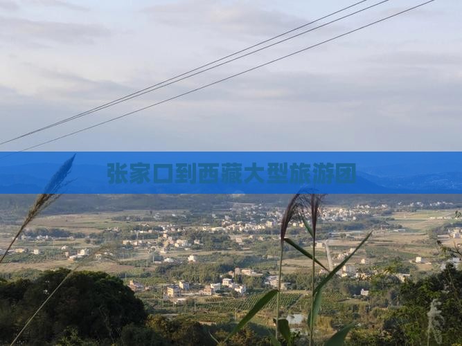 张家口到西藏大型旅游团