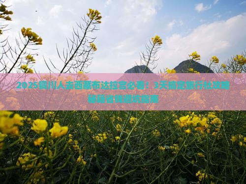 铜川到西藏布达拉宫旅行社