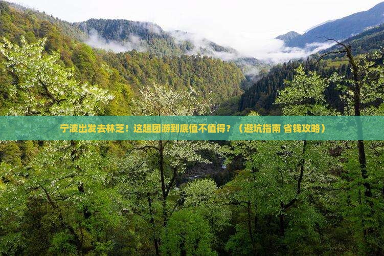 宁波去西藏林芝团体旅游 宁波去西藏林芝团体旅游