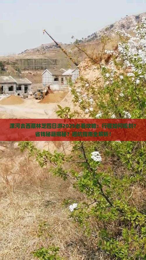 漯河去西藏林芝四日游