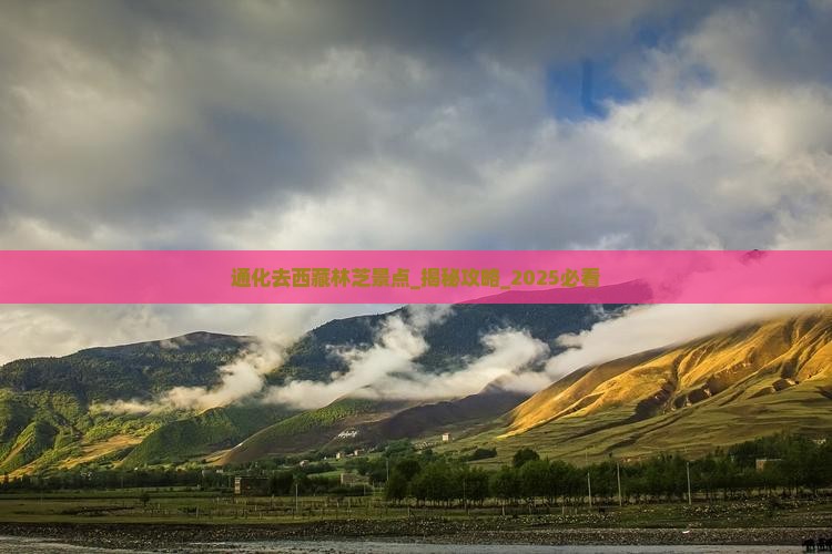 通化去西藏林芝景点