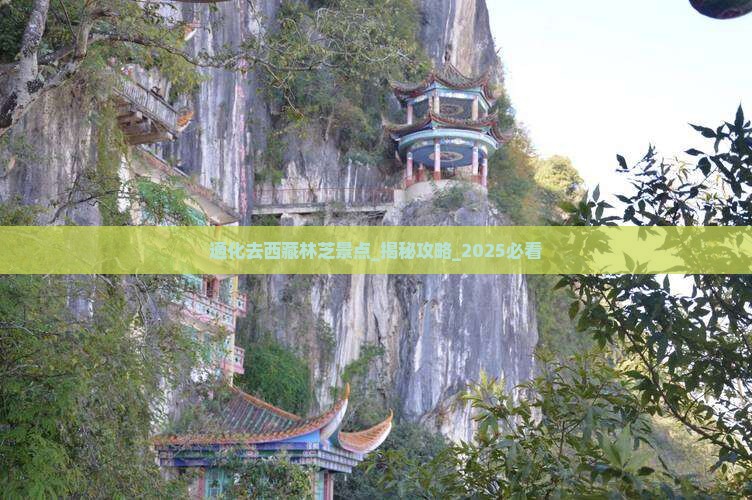 通化去西藏林芝景点