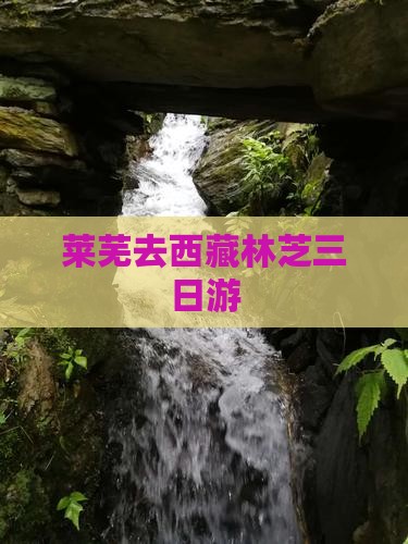 莱芜去西藏林芝三日游