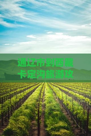 通辽市到西藏卡定沟旅游