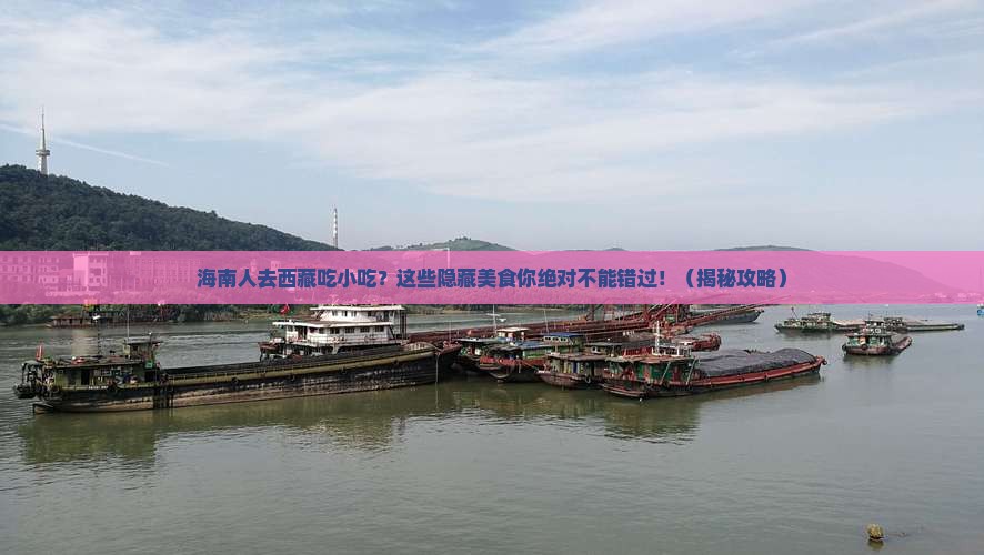海南省直辖去西藏旅游小吃
