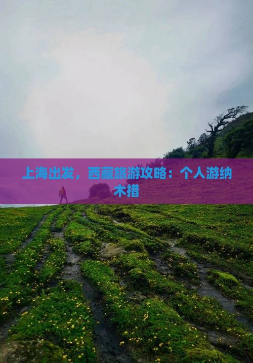 上海去西藏纳木措个人游