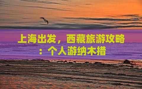 上海去西藏纳木措个人游