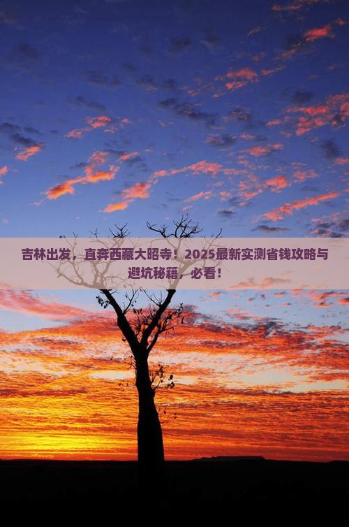 吉林到西藏大昭寺自由团