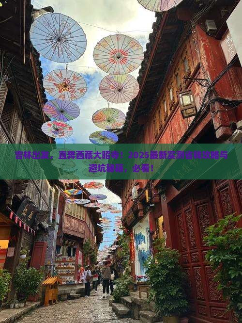吉林到西藏大昭寺自由团