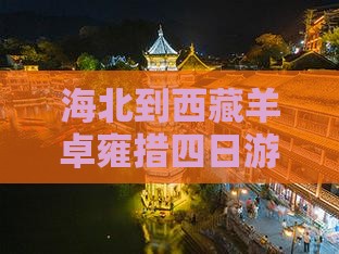 海北到西藏羊卓雍措四日游