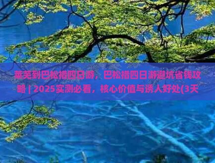 莱芜到西藏巴松措四日游