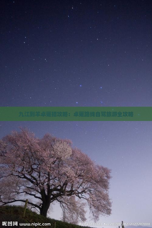九江到西藏羊卓雍措攻略