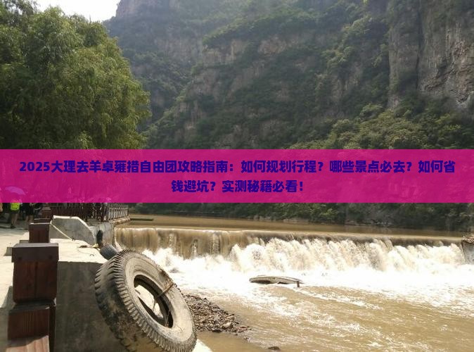 大理去西藏羊卓雍措自由团