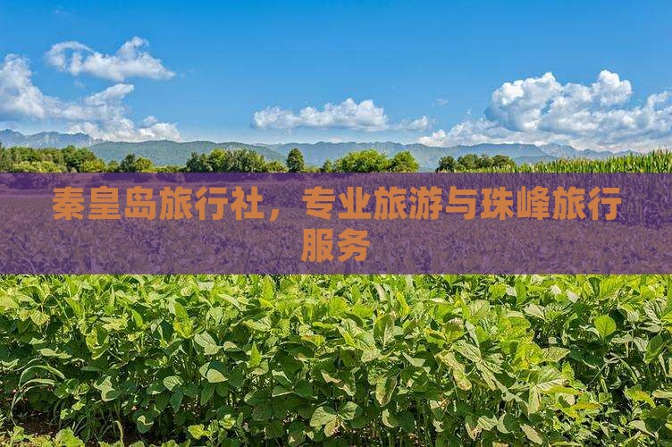 秦皇岛去西藏珠峰大本营旅行社