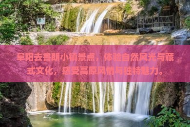 阜阳去西藏鲁朗小镇景点