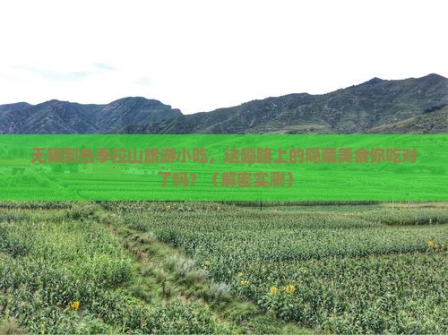 无锡到西藏色季拉山旅游小吃