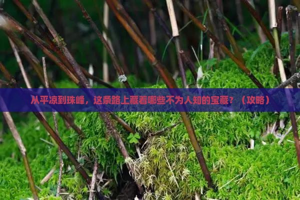 平凉去西藏珠峰大本营必去地