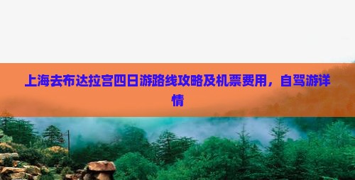 上海去西藏布达拉宫四日游
