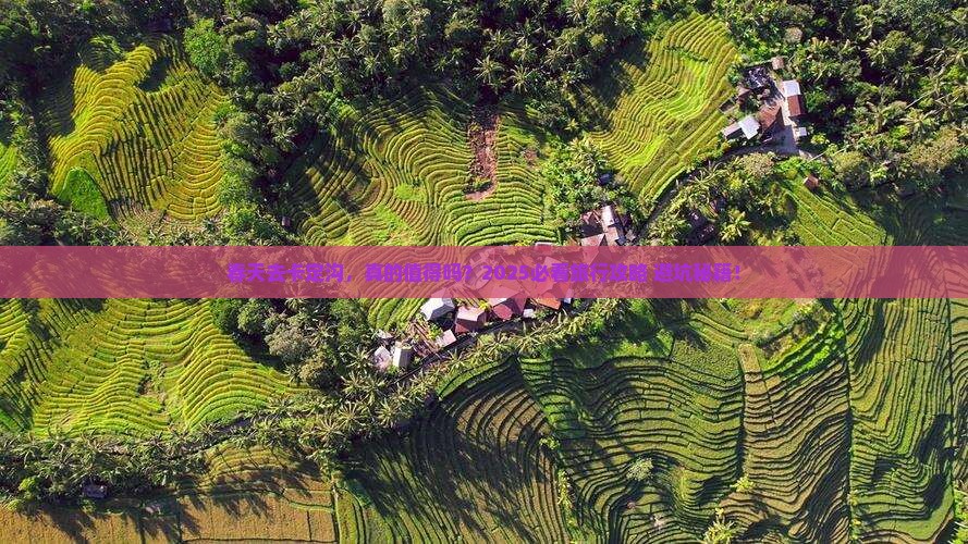 春天到西藏卡定沟旅行社