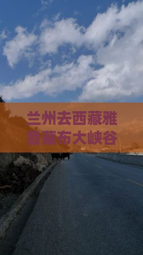 兰州去西藏雅鲁藏布大峡谷旅游小吃