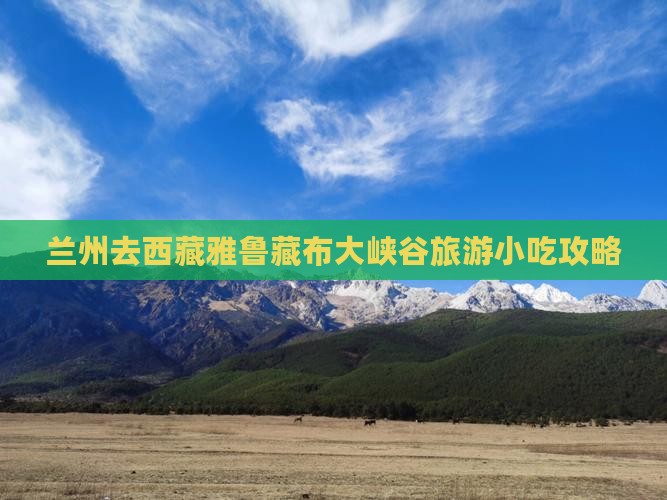 兰州去西藏雅鲁藏布大峡谷旅游小吃