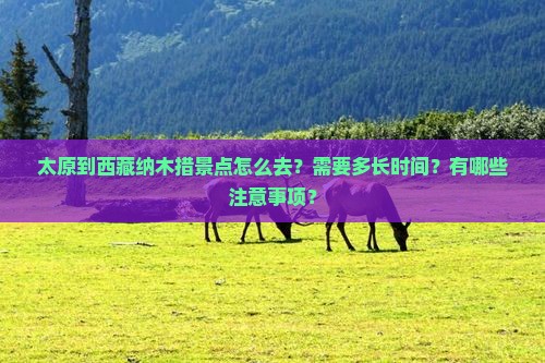 太原到西藏纳木措景点