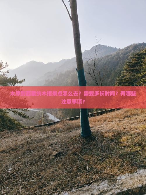太原到西藏纳木措景点