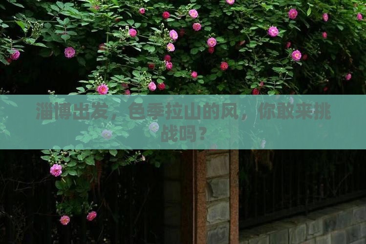 淄博到西藏色季拉山自由团