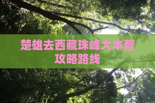 楚雄去西藏珠峰大本营攻略
