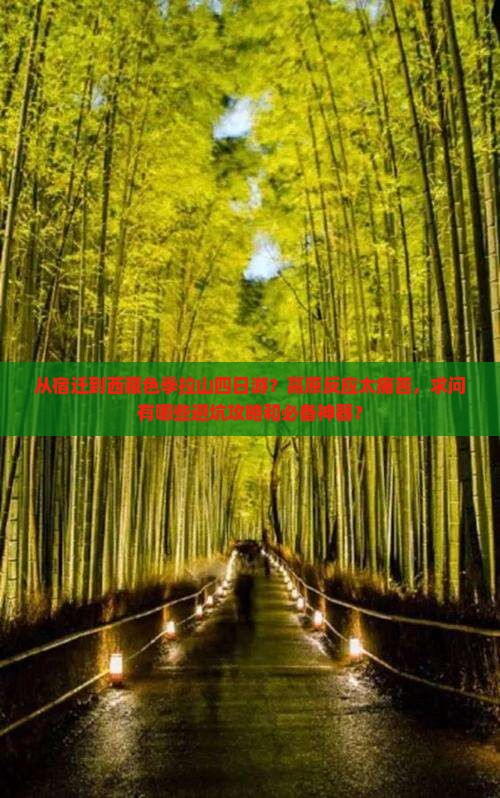 宿迁到西藏色季拉山四日游