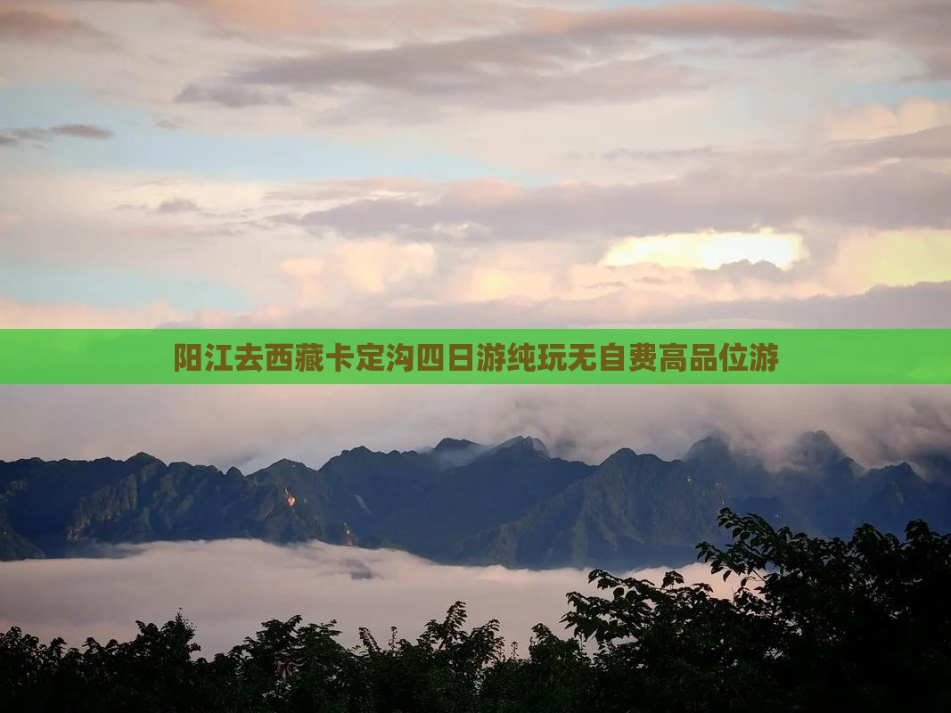 阳江去西藏卡定沟四日游
