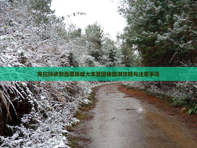 克拉玛依到西藏珠峰大本营团体旅游