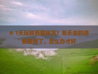 冬天到西藏林芝一日