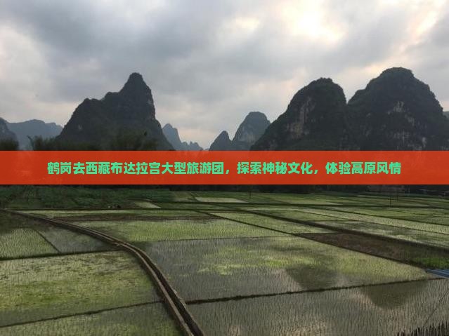 鹤岗去西藏布达拉宫大型旅游团