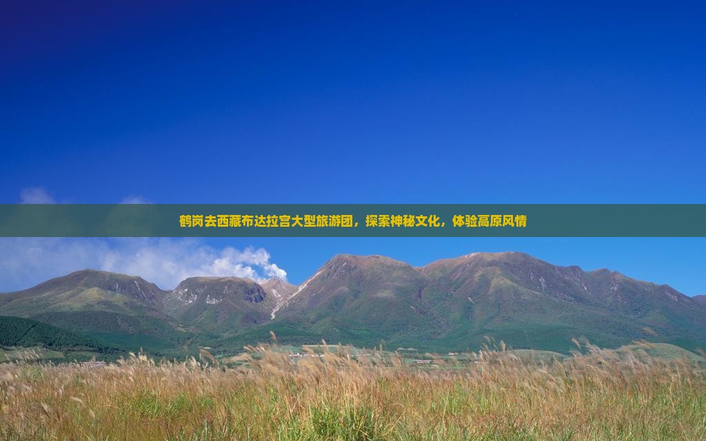 鹤岗去西藏布达拉宫大型旅游团