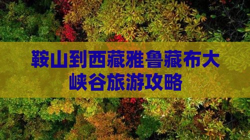鞍山到西藏雅鲁藏布大峡谷个人游