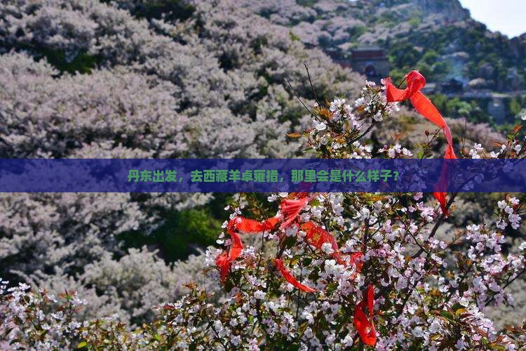丹东去西藏羊卓雍措旅游